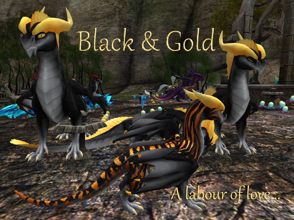 More information about "Black & Gold - a Labour of Love"
