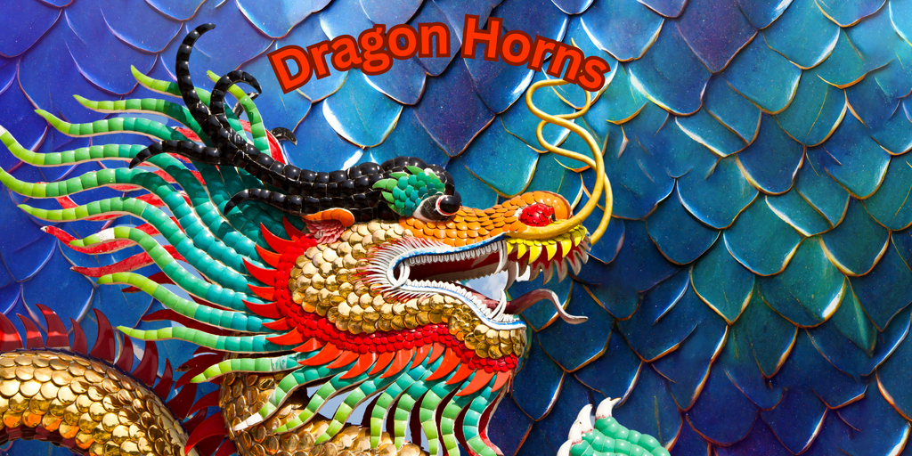 More information about "Dragon Horn...Best topping for your Dragon"