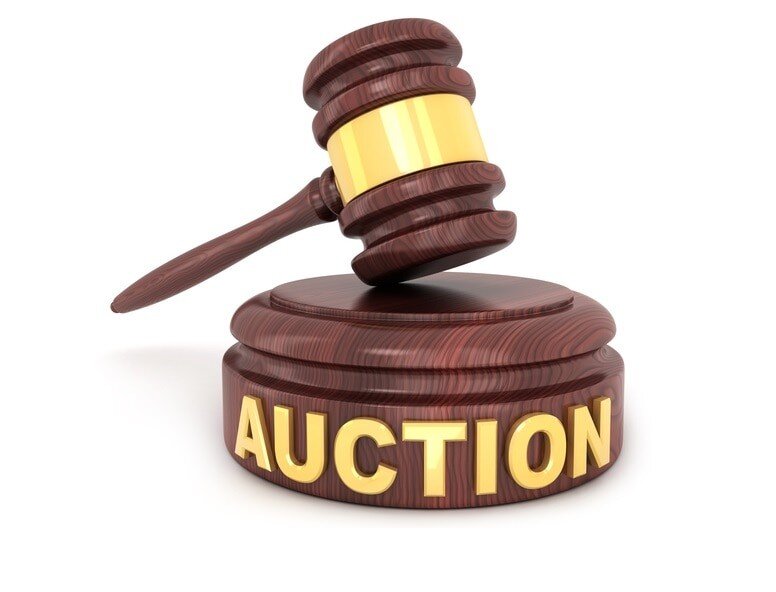 More information about "Auction Etiquette!"